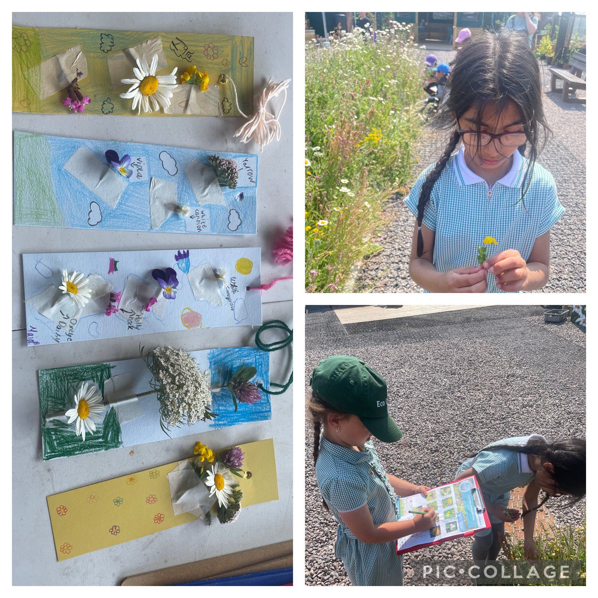 AdamsdownEC's tweet photo. Thank @railwaygardens for another wonderful visit to your gardens; finding flowers and making bookmarks 🌸🌼🌺🌾 @AdamsdownPrm @KeepWalesTidy https://t.co/WtaGJ4rAVH