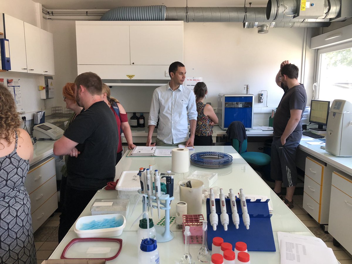 Lionel Maillot tweet media