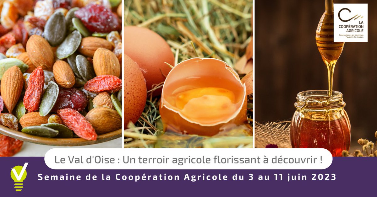🌾Semaine de LCA #2 : Le Val d'Oise propose  une vaste gamme de produits issus de divers secteurs tels que  l'arboriculture, le maraîchage, l'élevage, etc.
 👉Découvrez les produits près de chez vous et trouver les lieux de vente lnkd.in/e3NvA2cx
#semainelca2023