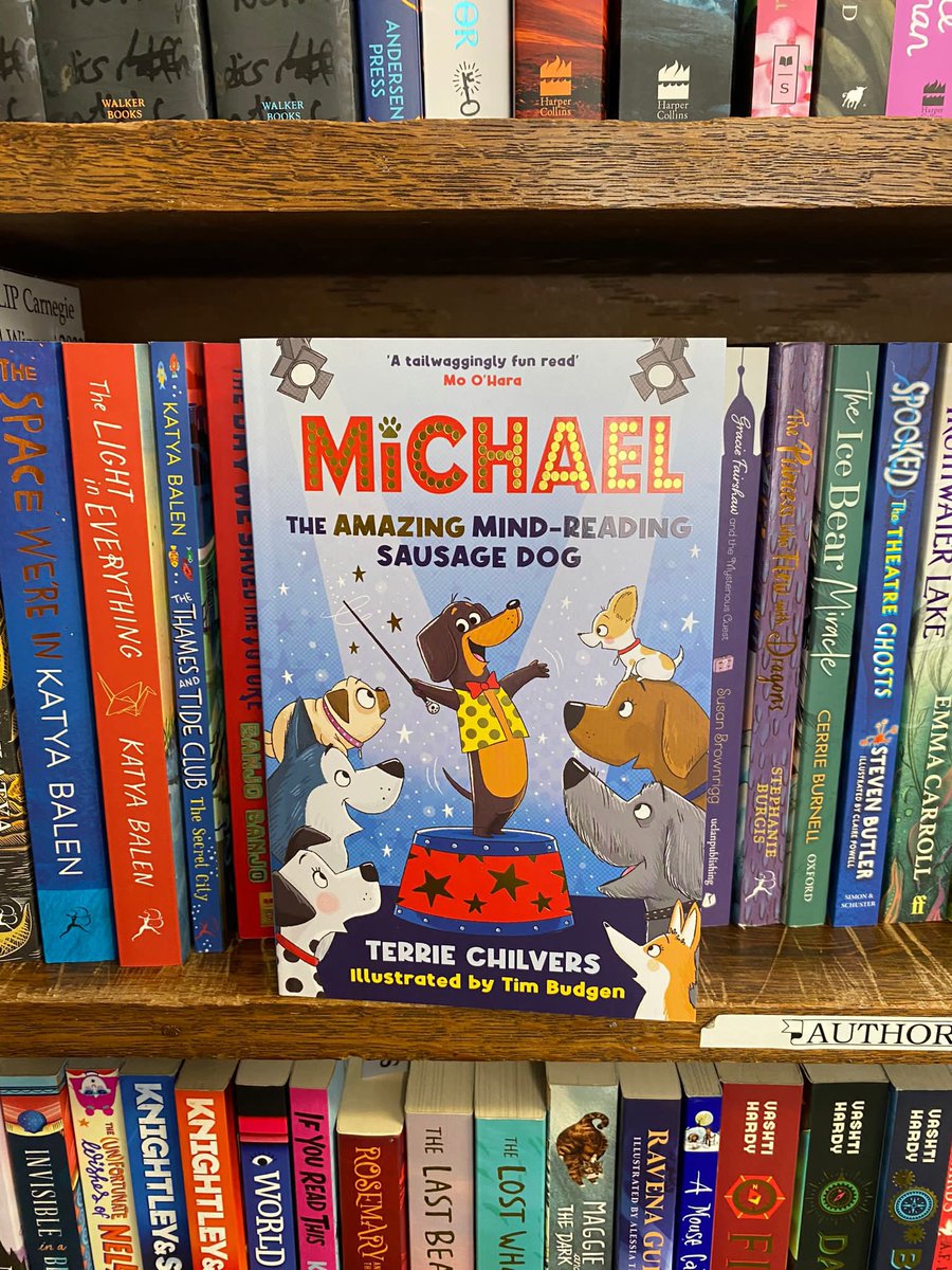 bouncemarketing's tweet photo. Lovely book displays in @BroadhurstBooks in Southport. @louisecorcor has been to the seaside! Thanks for the great displays #Pride2023 #readwithPride #choosebookshops #bookshopwindows #bookshops β€οΈπ https://t.co/hxnANFOpgM