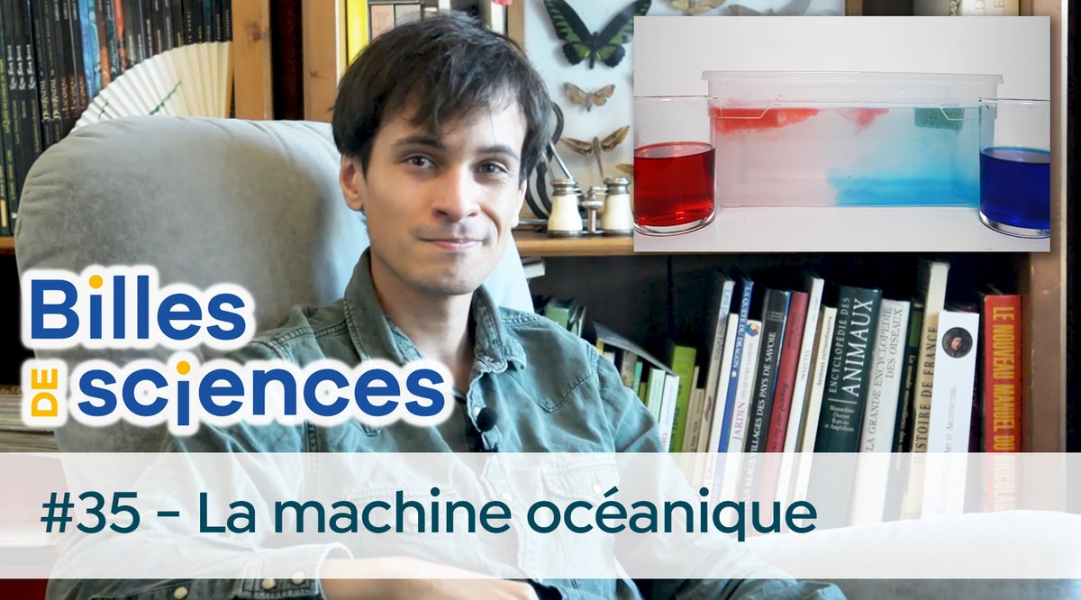 Billes de Sciences tweet media