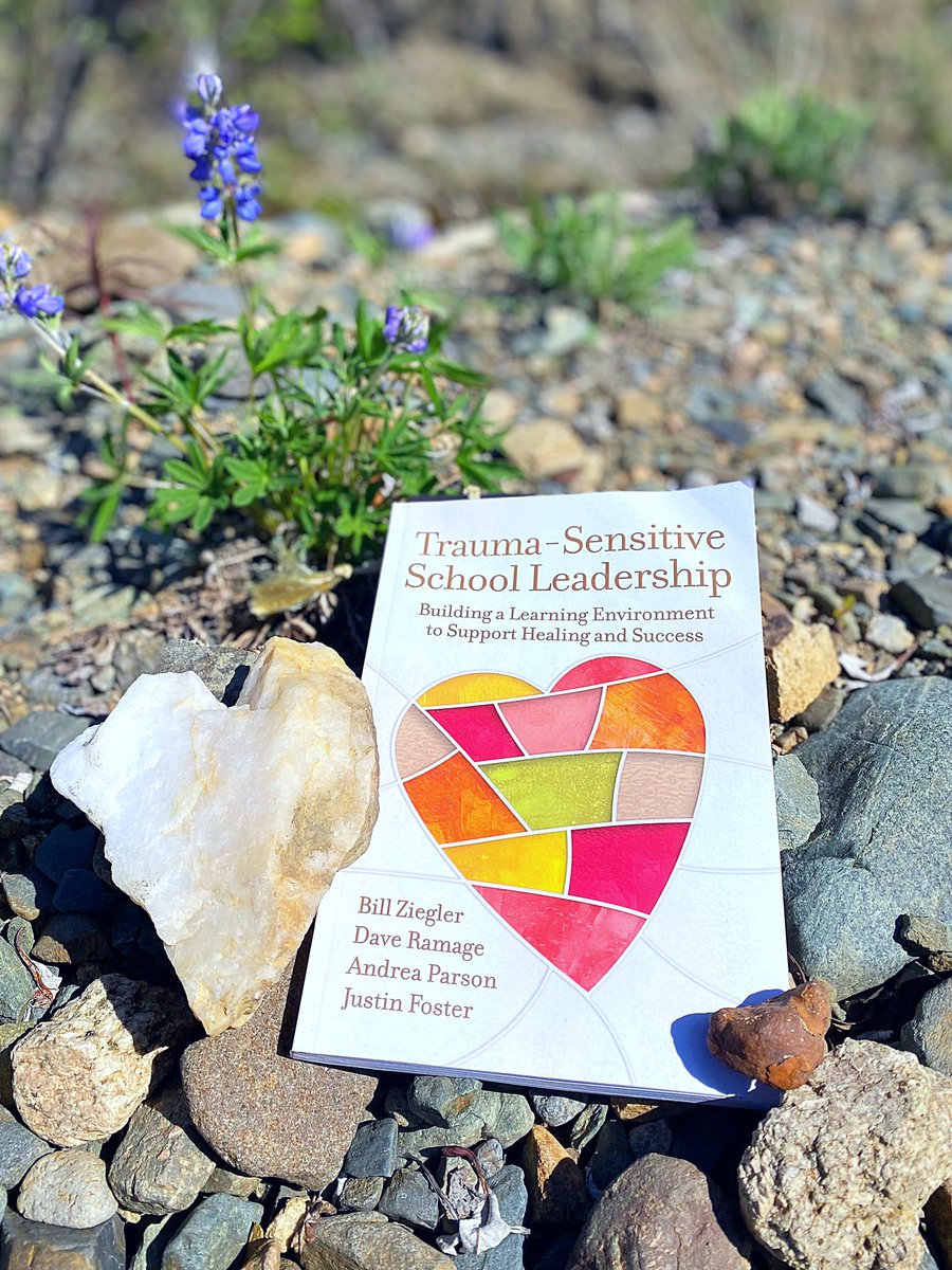 Robin Jones tweet media