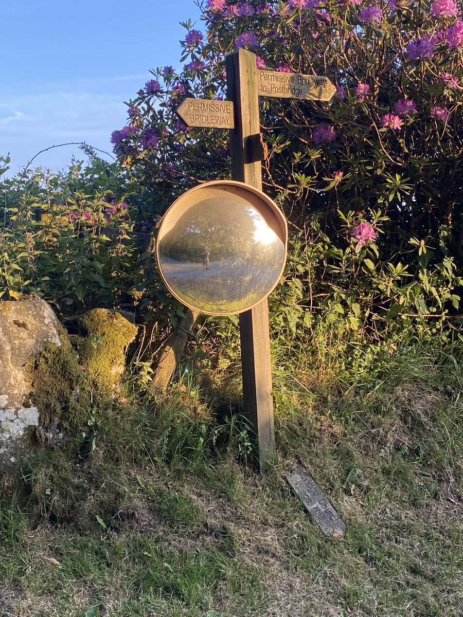 GatePostSign's tweet photo. Cornucopia for #bumBattenThursday Dartmoor https://t.co/EyooDllXOd