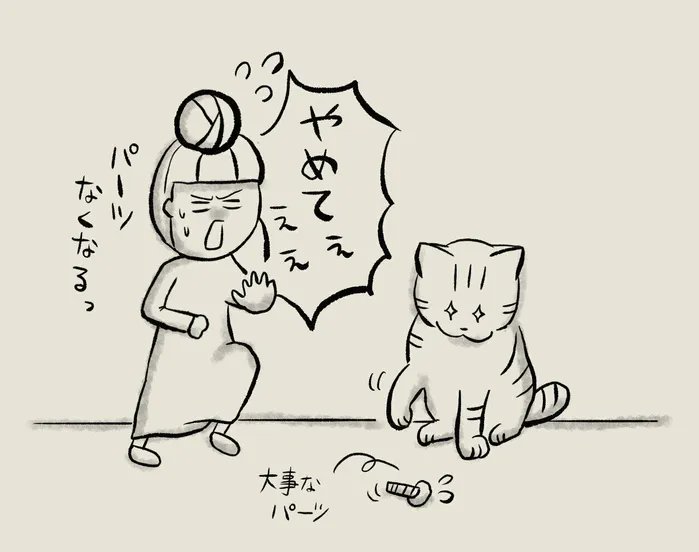 新しい猫用品にテンションが爆上がりする飼い主と猫達【連載】交通事故にあった猫を拾いました#116|ねこのきもちWEB MAGAZINE 