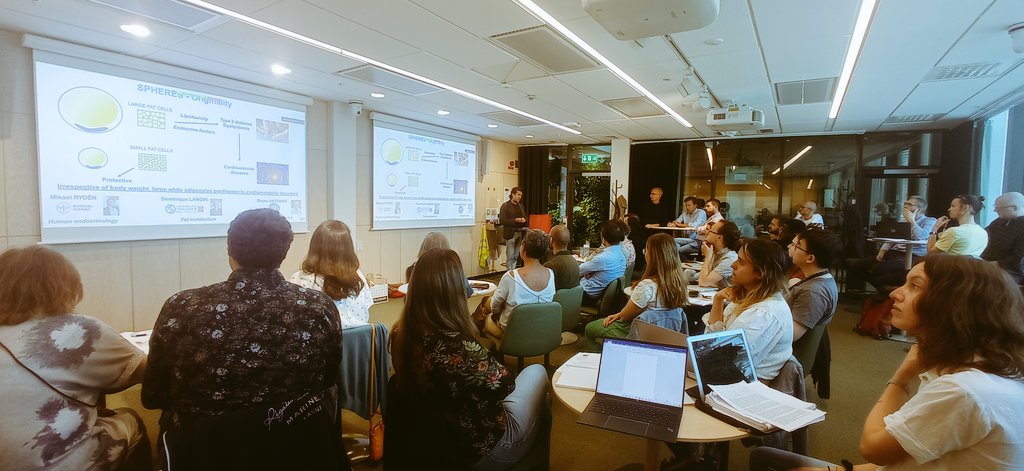 #SPHERES Consortium meeting in Stockholm at <a href="/karolinskainst/">Karolinska Institutet</a> with <a href="/ryden_mikael/">Mikael Rydén</a> <a href="/DominiqueLangin/">Dominique Langin</a> begins ! Great to have the whole research team together !