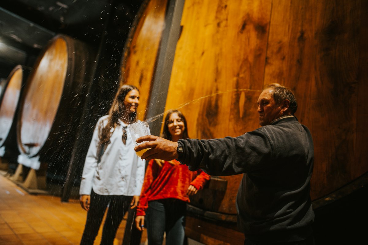 Visita Gijón - Profesional tweet media