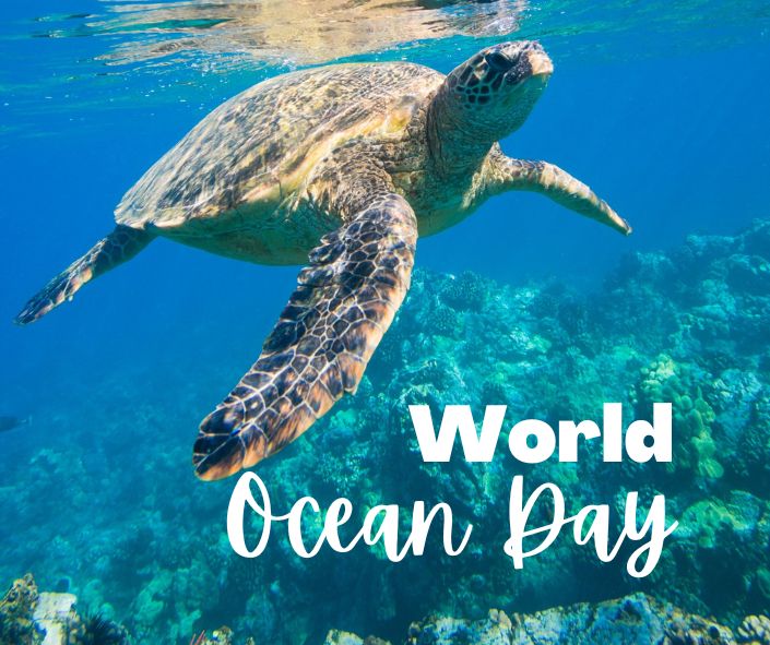 World Ocean Day    

#worldoceansday #ProtectOurHome