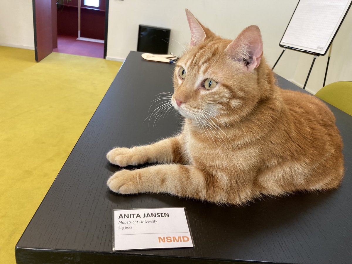 NSMD’s annual conference at Vaeshartelt Castle is about to start. Cat ‘Vaeske’ was the first guest present👍🏻