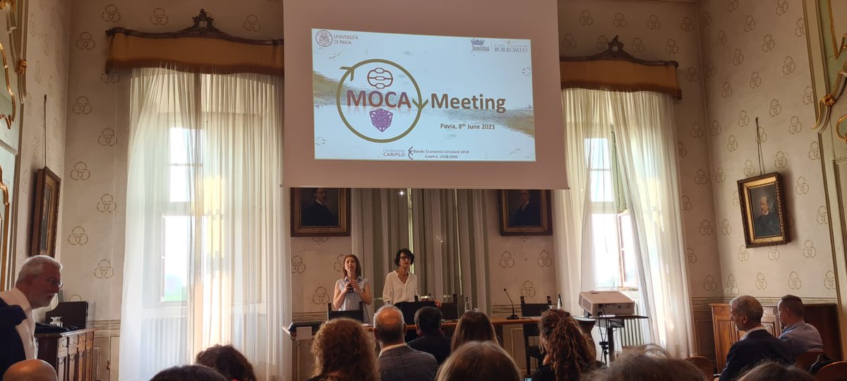 moca.project tweet media