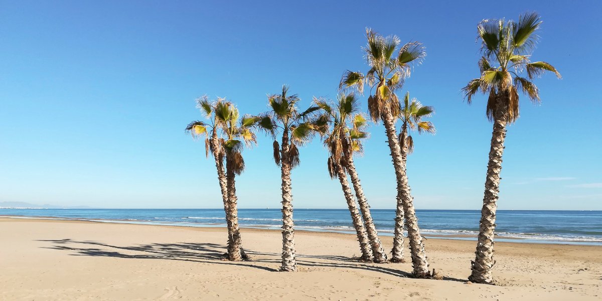 c_valenciana's tweet image. ¡Celebra en la Comunitat Valenciana el #DíaMundialdelosOcéanos! 🐋 ¿En qué playa te apetece más?
1️⃣ Cala Granadella, Jávea
2️⃣ Canet d'En Berenguer
3️⃣ Benicasim
4️⃣ Isla de Tabarca 
#MediterráneoEnVivo