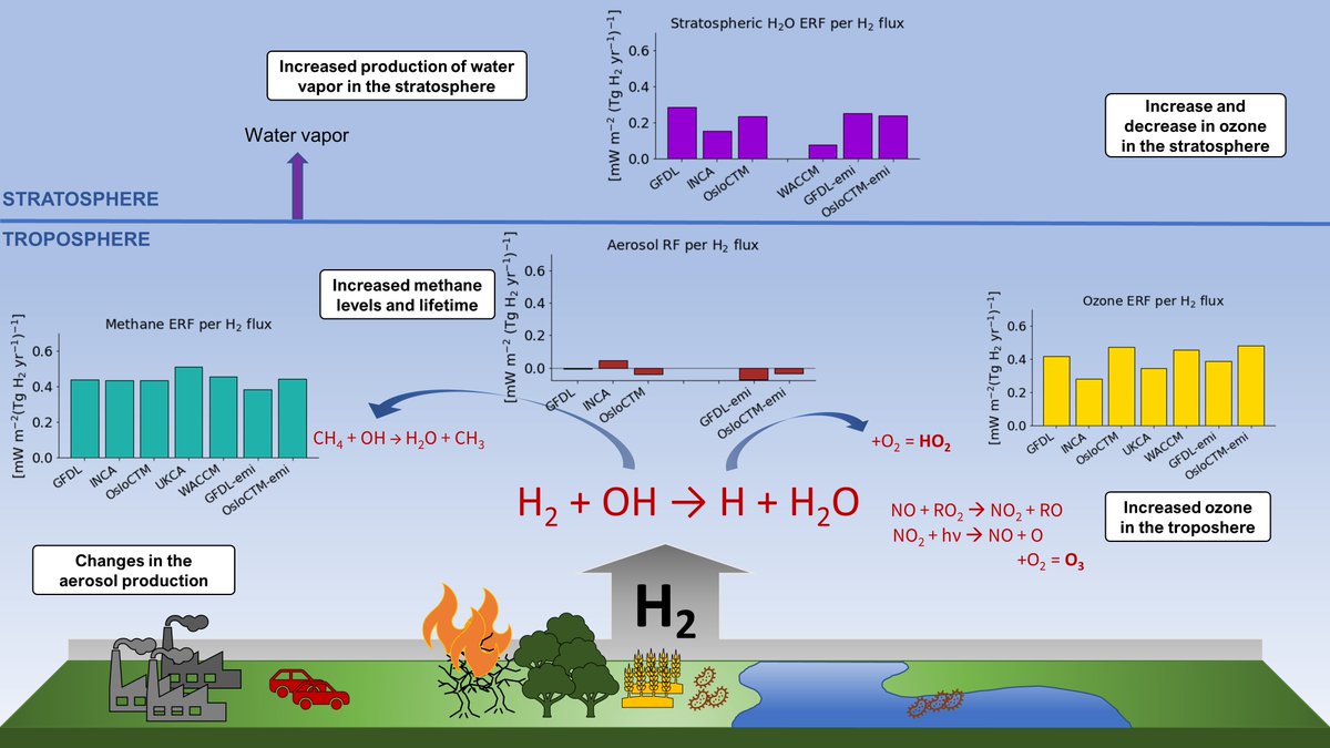 Maria Sand tweet media