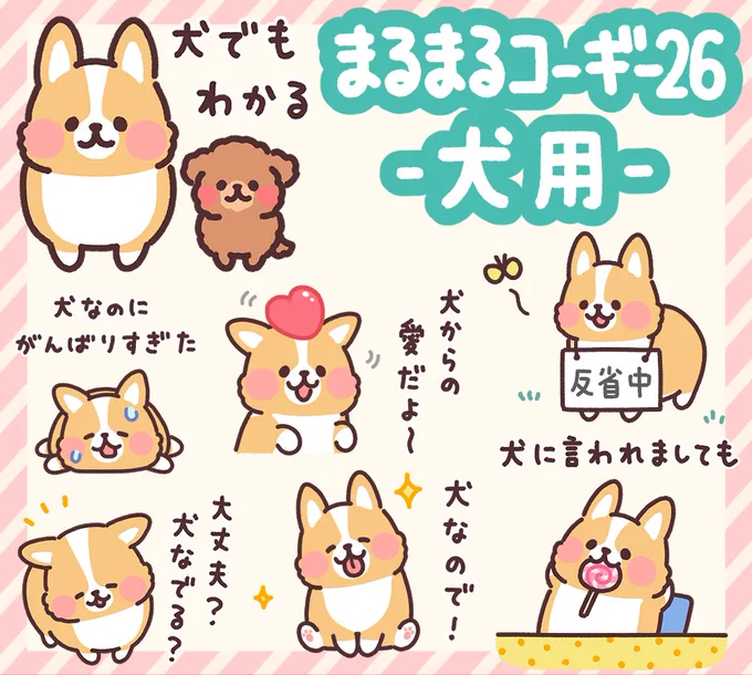 LINEスタンプ発売!

「まるまるコーギー26 犬用」
https://t.co/MirM4Q7XpC

犬の皆さんが使いやすい犬用スタンプが出ました!
犬同士でも人間相手でも使いやすいスタンプです。

人間の方もよろしければ! 