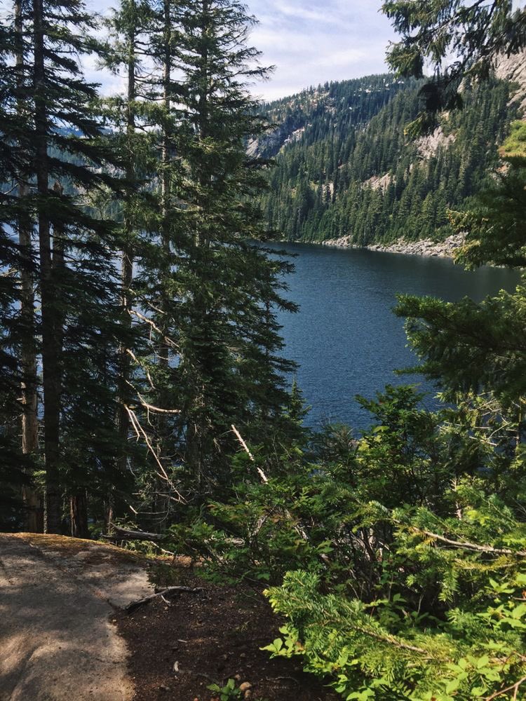 violettweets_'s tweet photo. nature trip. https://t.co/GcCGRvEtde