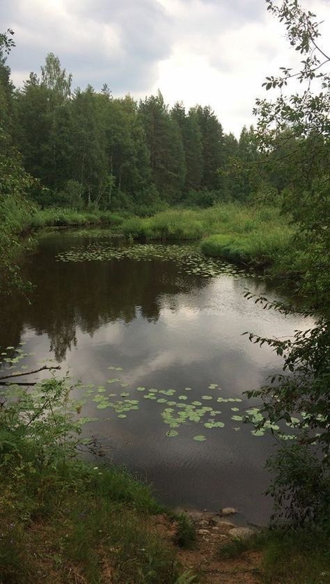 violettweets_'s tweet photo. nature trip. https://t.co/GcCGRvEtde