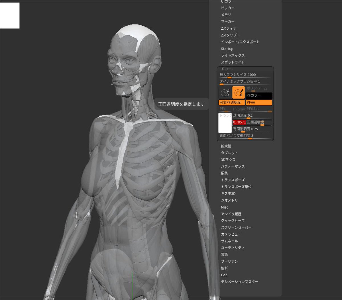 compon's tweet image. Zbrushに人体模型が入ってるのを思い出した
骨格選んで透明表示にするとスケスケスケルトンに
環境設定のドローから透明度が調整できるよ