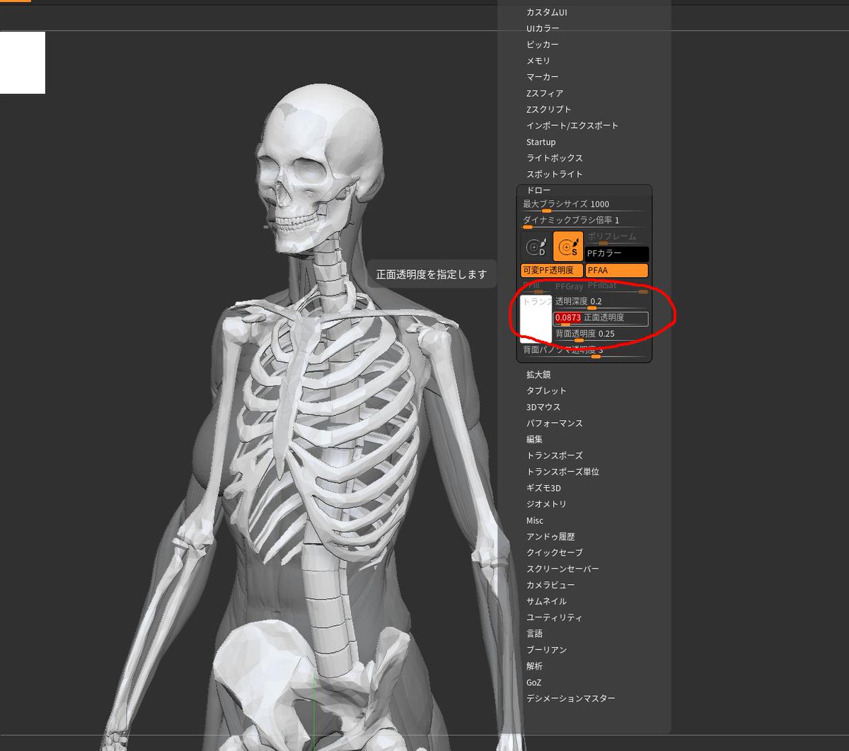 compon's tweet image. Zbrushに人体模型が入ってるのを思い出した
骨格選んで透明表示にするとスケスケスケルトンに
環境設定のドローから透明度が調整できるよ
