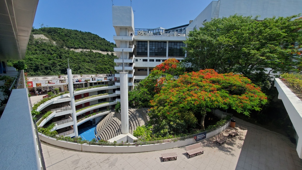 The Middle School campus is blooming! 🌺 The fiery red flowers on the tree symbolize how hot it gets in the summer months 😉. #hkis #hkiscampus #summertime #summer #hot #beautiful #campus #niceweather #middleschool #hkisms #inbloom