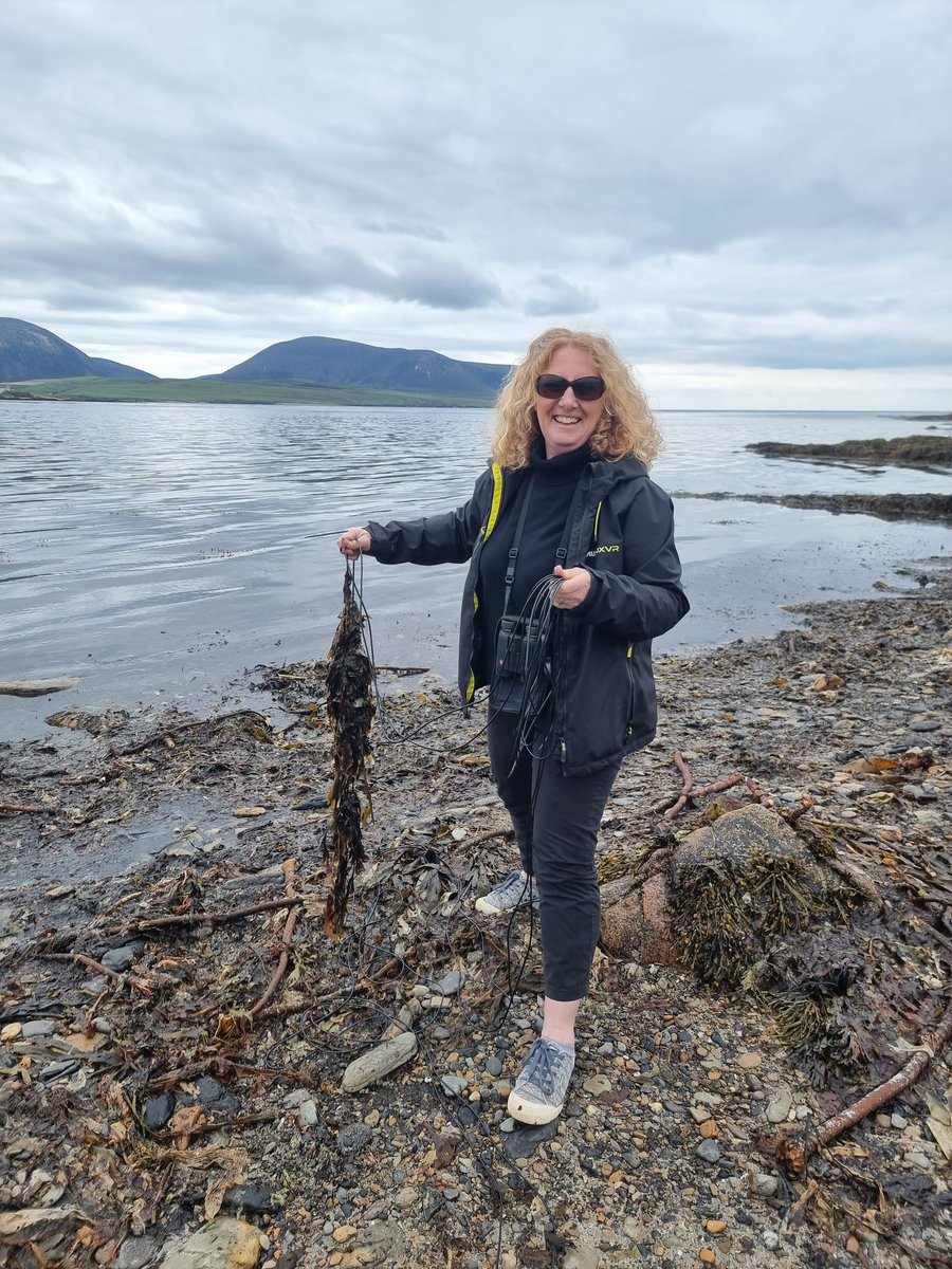 Emily Hague 🚢🐳🐬 tweet media