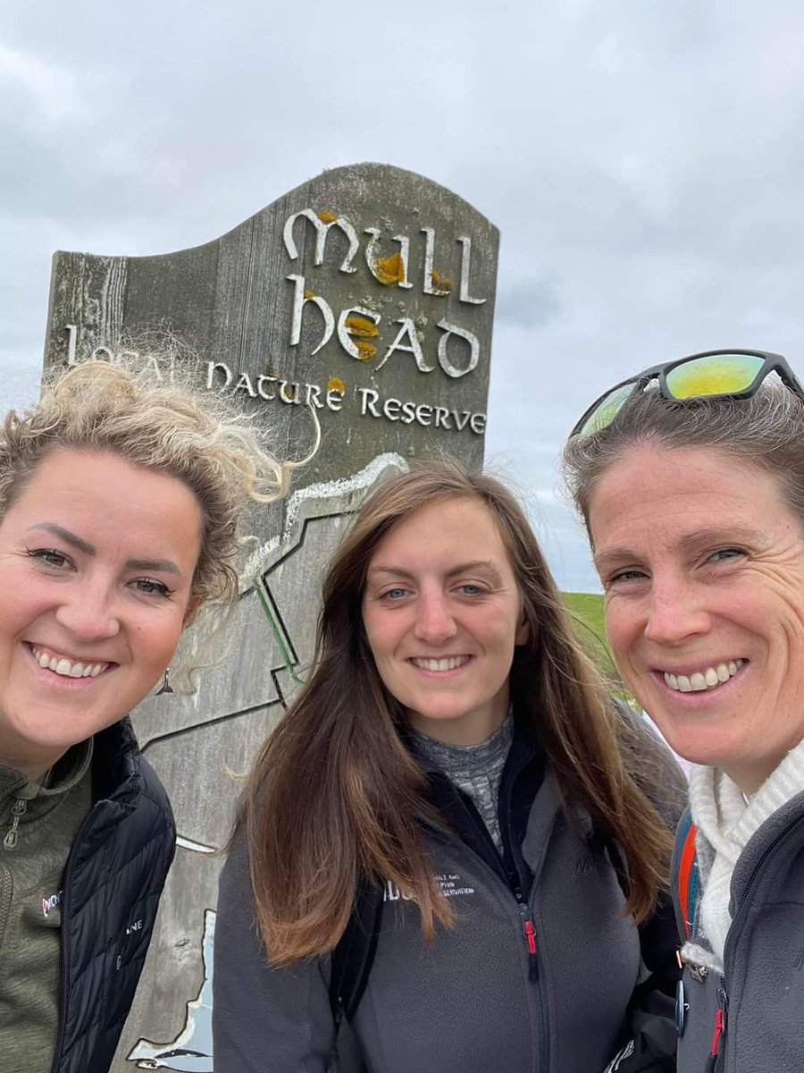 Emily Hague 🚢🐳🐬 tweet media