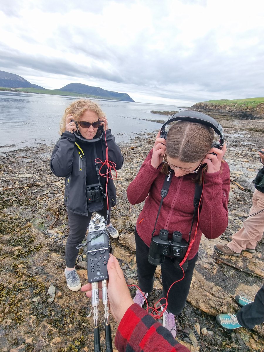 Emily Hague 🚢🐳🐬 tweet media