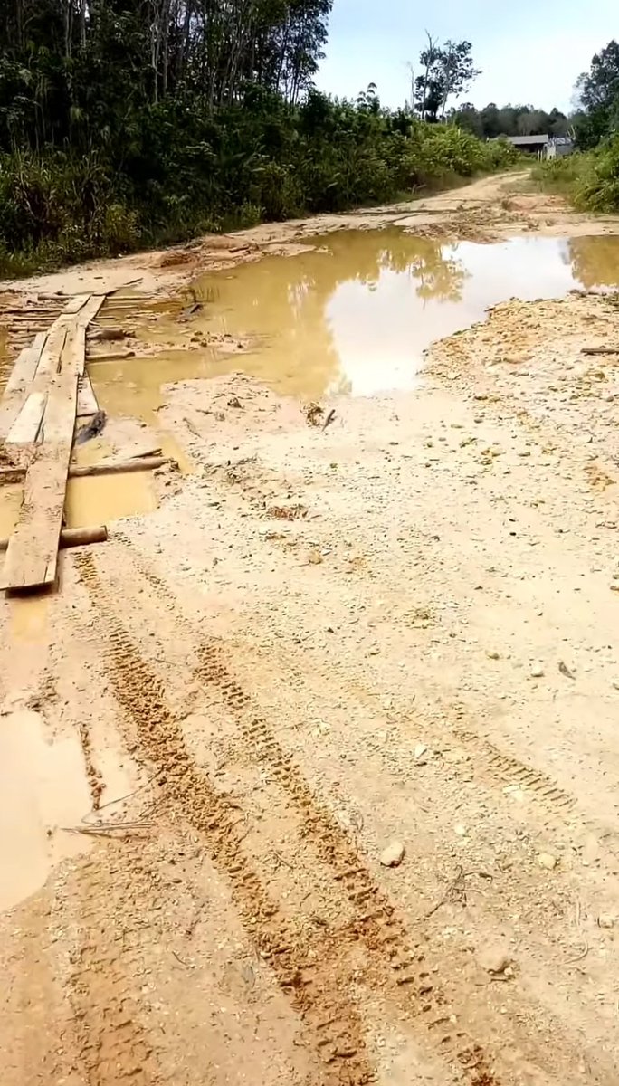 sniper323461's tweet photo. @jokowi Jl. Lintas kab.kapuas tengah-kapuas hulu,kalimantan tengah 99% rusak parah pak terutama di kec. Pasak talawang &amp; mandau talawang, bupatinya BEN BRAHIM S. BAHAT sudah menjabat 2 periode &amp; sampai detik inipun tidak ada perhatian untuk diperbaiki. Mohon untuk ditindak lanjuti pakde https://t.co/RQQOrwO47J