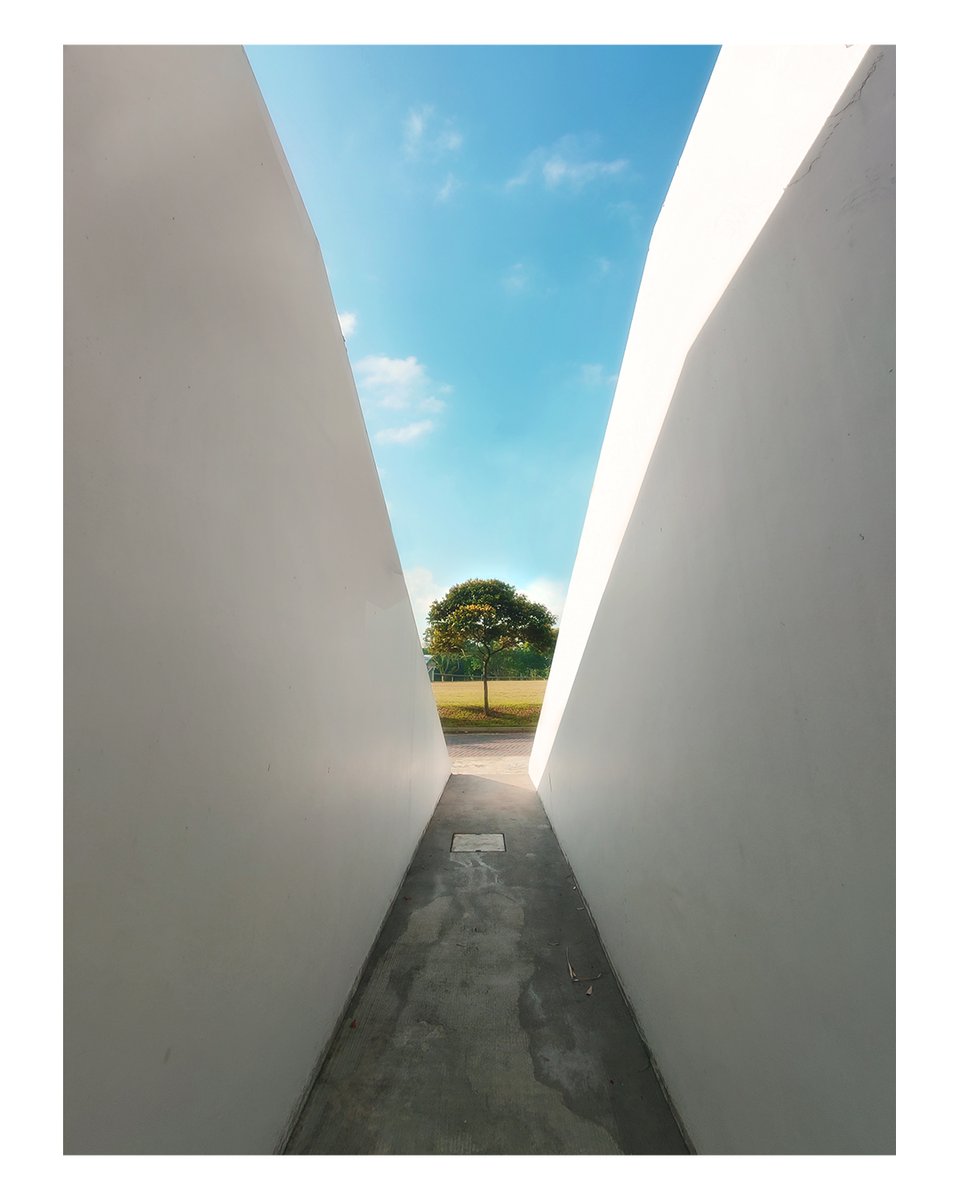 createdby_yew's tweet image. 09 : 05
Prinsesstårta
[📷] #OnePlus8Pro