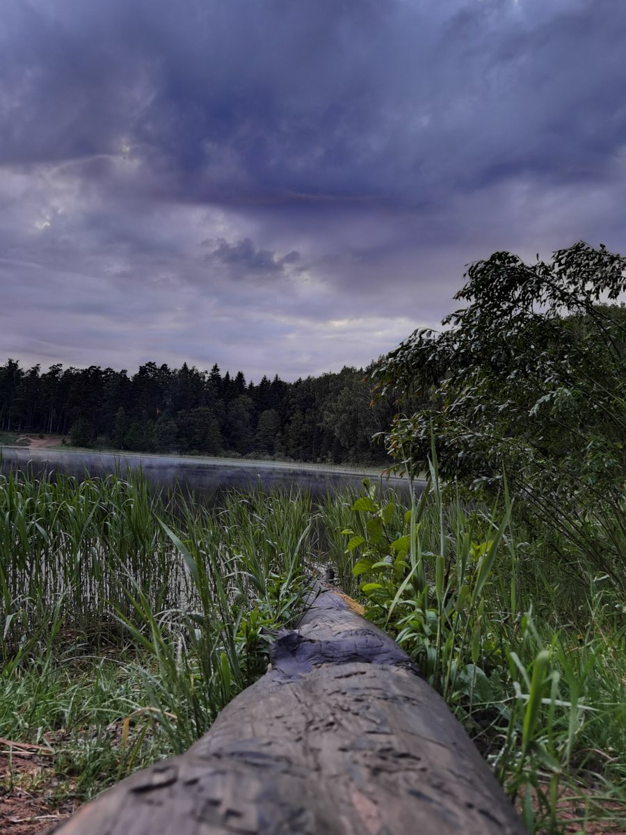 MariaStrawbery's tweet image. И това не е Нил, нито Ропотамо, а езеро в Естония, чието име нямам шанс да произнеса. #Estonia #естония