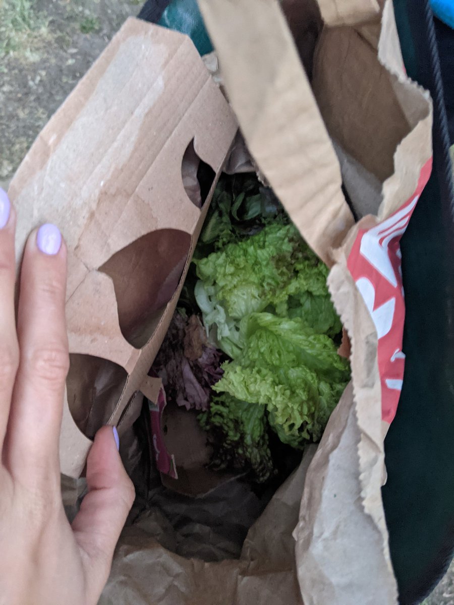octopuscitizen's tweet image. Here's some re:publica folklore for you all. Remember when @xbg brought 20 different bags of chips for a chips tasting in the yard? 

This is what he brought this year 😵‍💫 SALAD