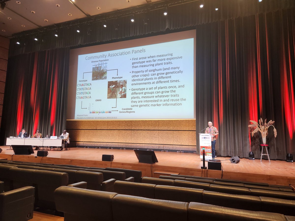 Emma Mace (@emmaomics) on Twitter photo Such a fantastic opening plenary by <a href="/szintri/">James Schnable</a> on Day 4 of <a href="/21CentSorgh2023/">21centurysorghum 2023 Montpellier</a> highlighting multiple exciting research activities with the overarching principle of democratisation of data resources for the community to use and use again! Awesome work James. #sorghum23 Such a fantastic opening plenary by <a href="/szintri/">James Schnable</a> on Day 4 of <a href="/21CentSorgh2023/">21centurysorghum 2023 Montpellier</a> highlighting multiple exciting research activities with the overarching principle of democratisation of data resources for the community to use and use again! Awesome work James. #sorghum23