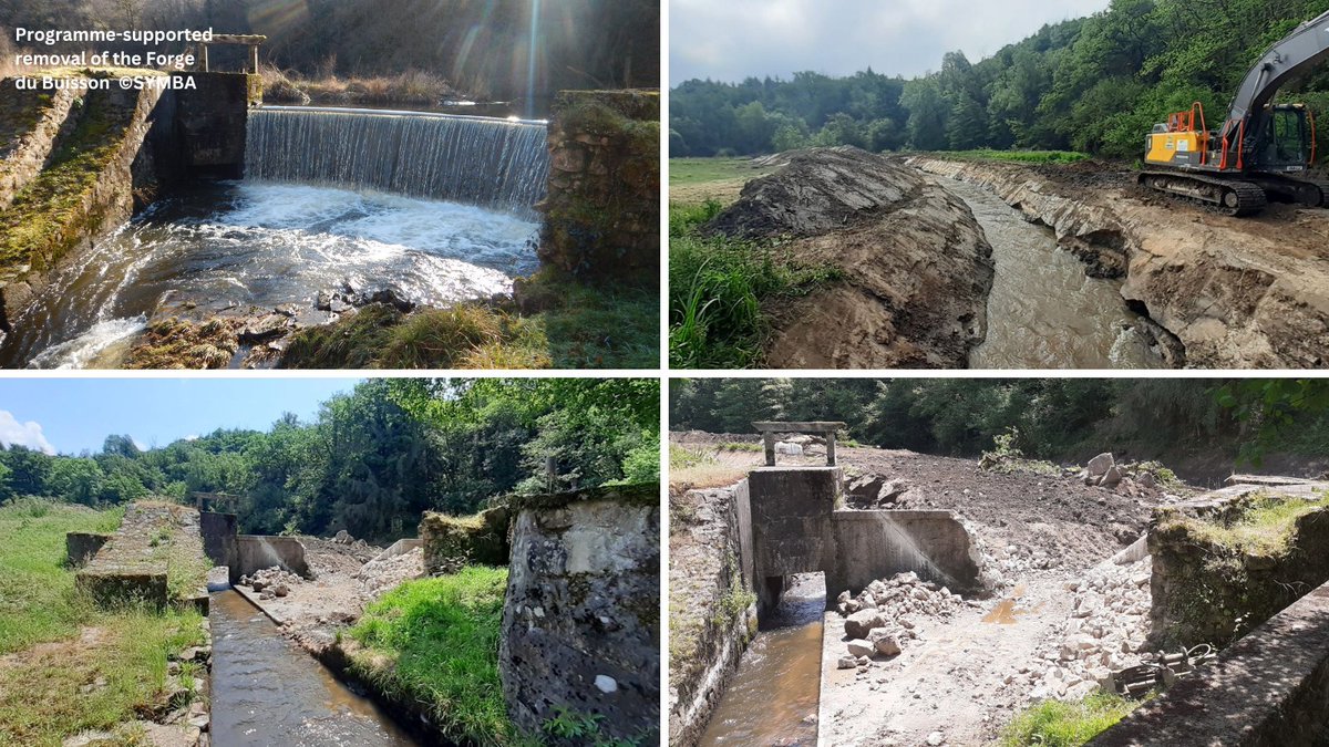 🚧 Dam removal progress on the Tardoire River in France! The European Rivers Network and SYMBA are on their 3rd out of 4 removals, opening up 24 km of the river! 🐟 Check out the images of this transformative work. Next up: Peyrassoulat Dam removal! Stay tuned #DamRemoval