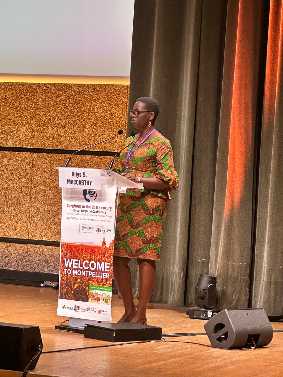 Dilys MacCarthy from @UnivofGh closes this plenary west African perspective on Resilience and Sustainability of Sorghum productivity in the face of Climate Change. #sorghum2033