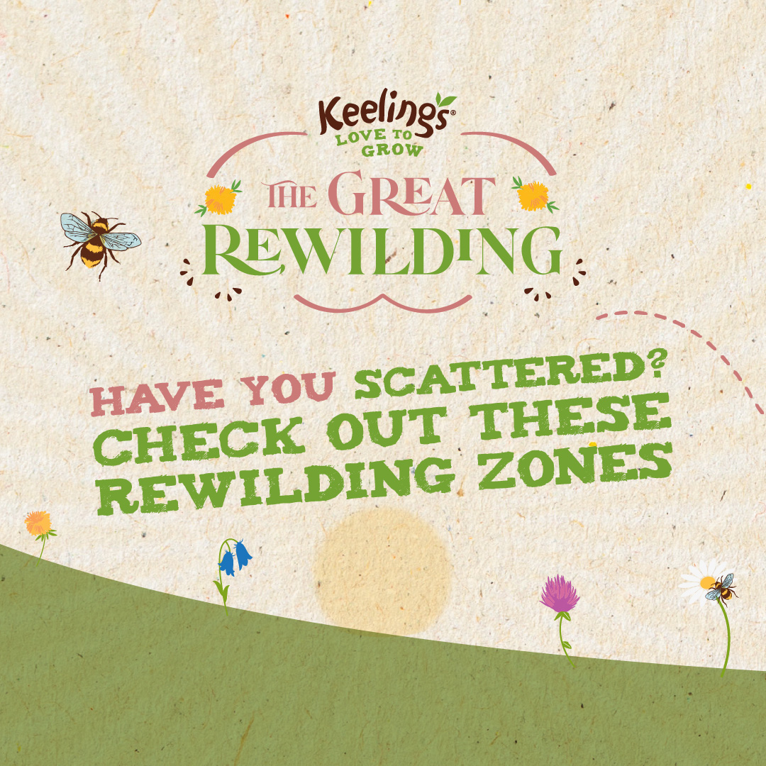 keelingsfruits's tweet photo. Give it up for some more amazing rewilding zones. ππΌ We love them. π Share your rewilding snaps using #KeelingsGreatRewilding
#Keelings #KeelingsGreatRewilding #NoMowZone #Rewilding #Wildflowers https://t.co/ALJ40aFvzO