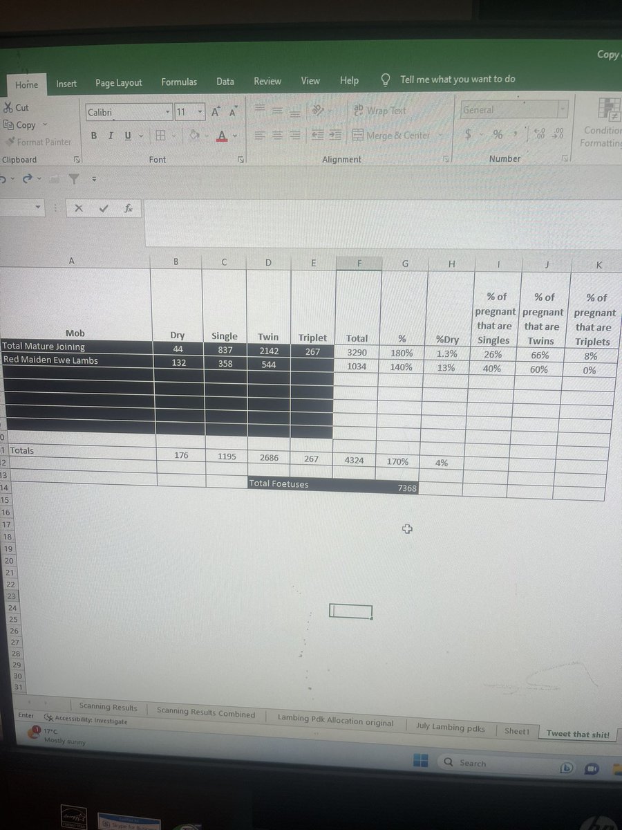 Tom Lyons tweet media