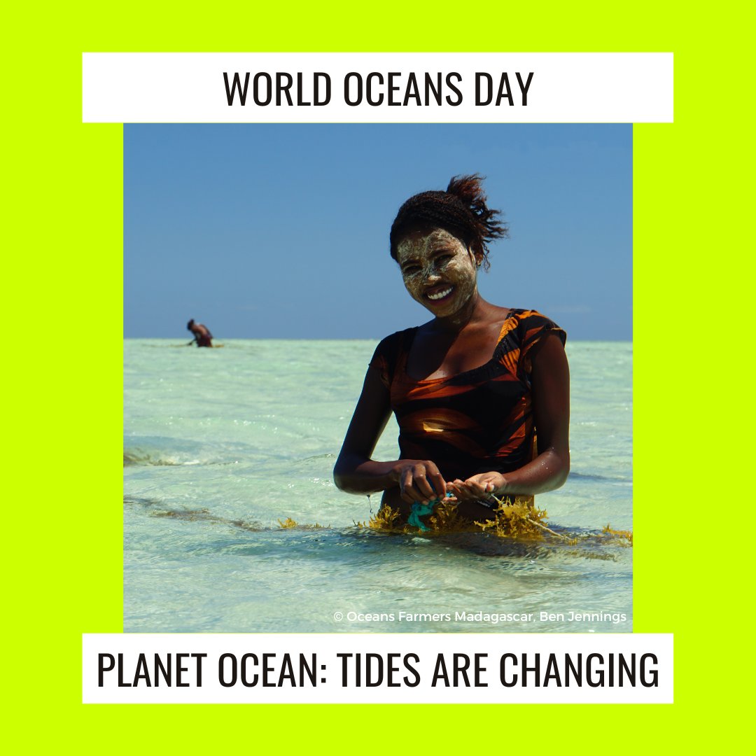 The ocean is our life source. It produces at least 50% of the planet’s oxygen, is home to most of earth’s biodiversity and key to our economy. That’s why Intalcon Foundation supports Oceans 2050 and their global seaweed project.  
#worldoceansday #oceanconservation #blueeconomy