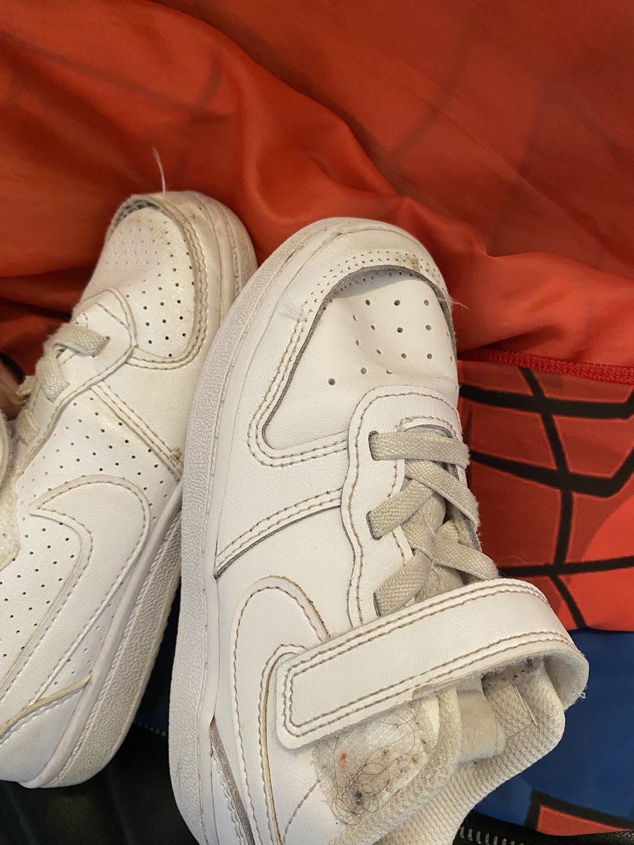 genavieve monahan tweet media