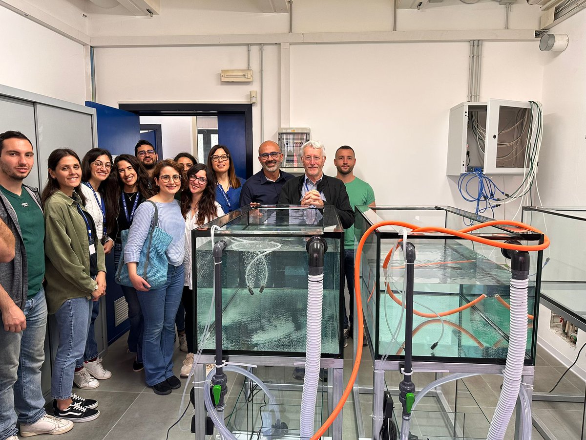 Aware_europe's tweet photo. The University of Salento is setting up LIVE !
The Urban Farming Lab which will be used to study the effect of diets on Tilapia and the biofiltering properties of mosses. 
@unisalento 
@HorizonEU 
@REA_research https://t.co/kOvjEAeqH0