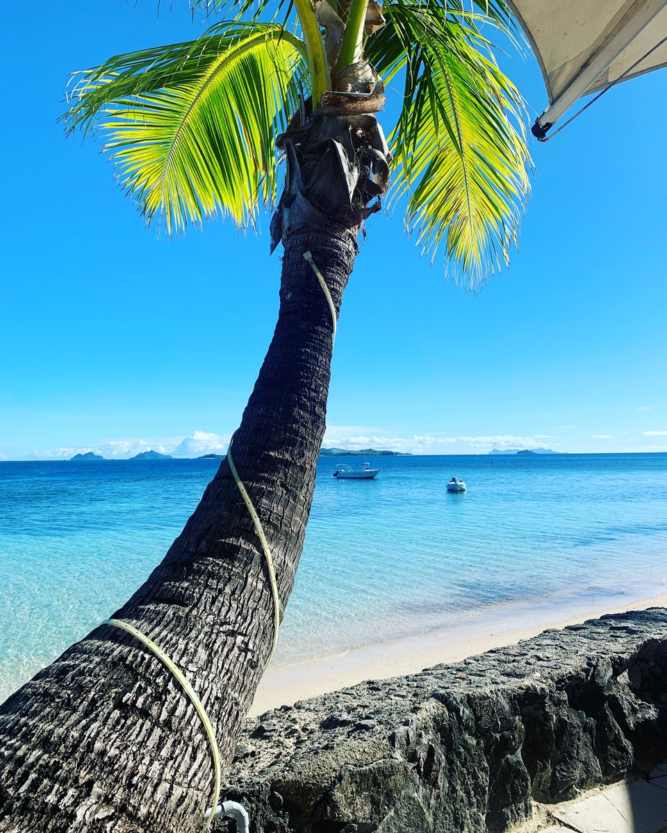 Web3 Frens . I’ll be here if you need me . Not sad about it 

Returning has been hard 🏝️😆