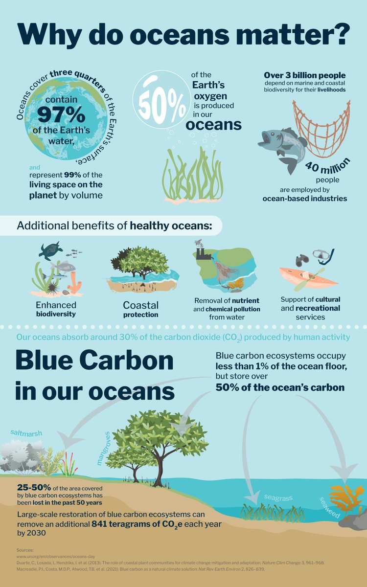 Happy #WorldOceanDay all 💙
Love this infographic on the vital role of healthy seas (2nd image), &amp; couldn't resist the Steinbeck quote 😀