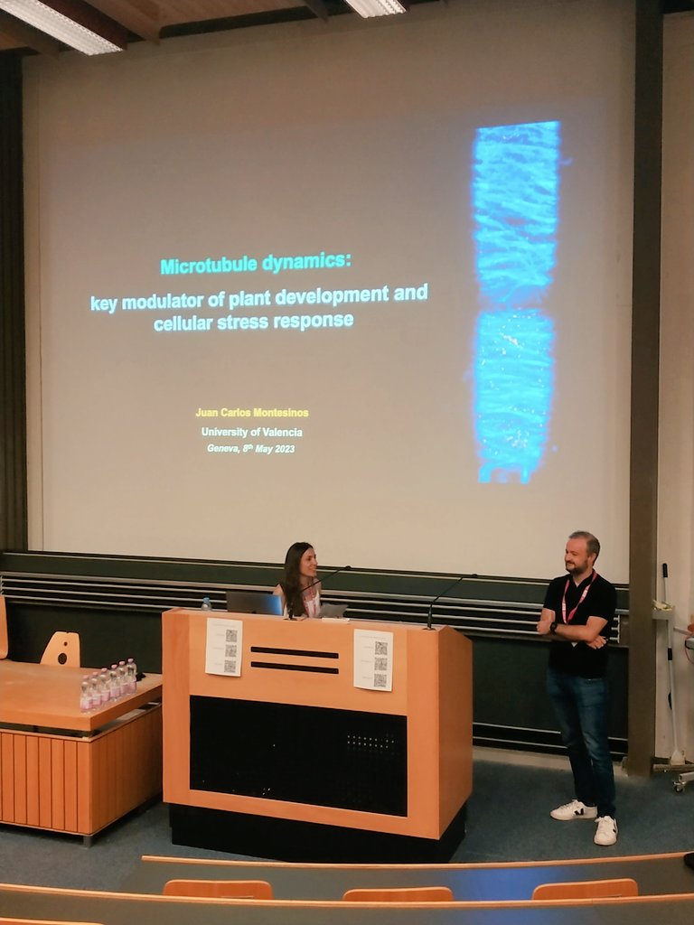 APDUnige's tweet photo. It is now our pleasure to welcome our first keynote speaker, Juan Carlos Montesinos, from the University of Valencia. He will be presenting his work on microtubule dynamics as key modulators of plant development and cellular stress response. 
@LauraPrezMartn2 https://t.co/SyDKXZImDp