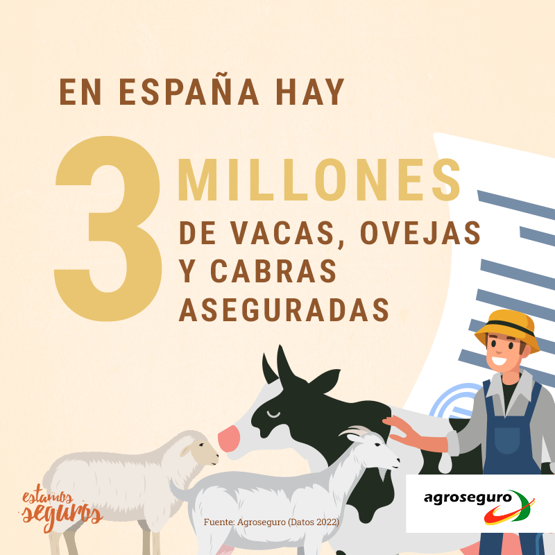 DirectCurrentA's tweet photo. Con el café del desayuno, de postre en la comida o con el té de media tarde. Todos los días disfrutas de la leche, de un yogur o de algo de queso, ¿verdad? Pues es, en parte, gracias al seguro.  @agroseguro  @EstamosSeguros_ https://t.co/ASEPp7B6KP