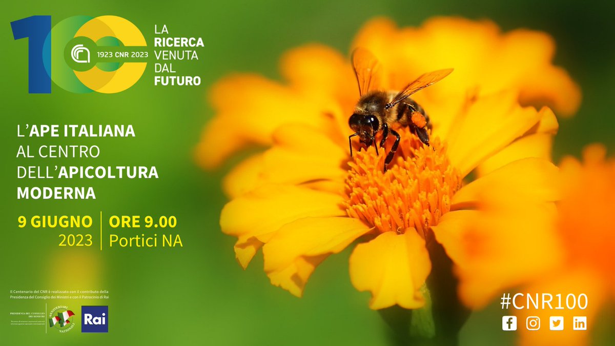 CNRsocial_'s tweet photo. 💯#CNR100 1923-2023 #centenarioCNR
📌#9giugno | ore 9.00 | #Portici
🐝L’ape Italiana al centro dell’apicoltura moderna
workshop dedicato agli addetti del settore e agli appassionati di apicoltura
👉https://t.co/R4nvjua010
#Cnr_Ipsp @CREARicerca #Aiaar https://t.co/zO3Xnz18mp