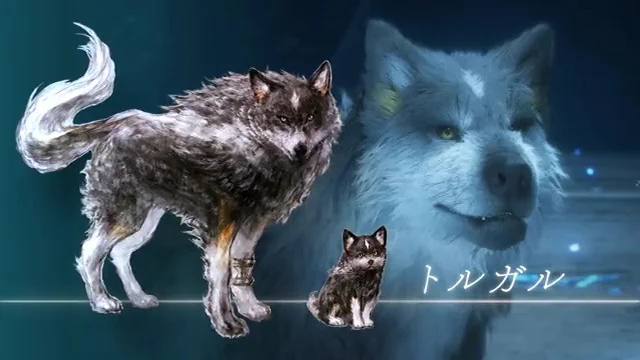 FyFeSvUaIAEtJSs?format=webp&