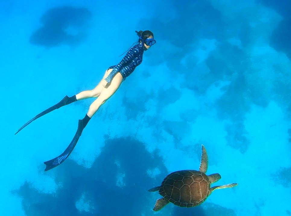 *It's #WorldOceansDay, let's feed the Algorithm!
*My new understanding of this field, is the #human centric approach to #conservation.
*We damage, yet we heal*
*Let's build better communities to sustain our #Ocean!
#WorldOceanDay #Education #OceanLiteracy #Policy #BlueEconomy