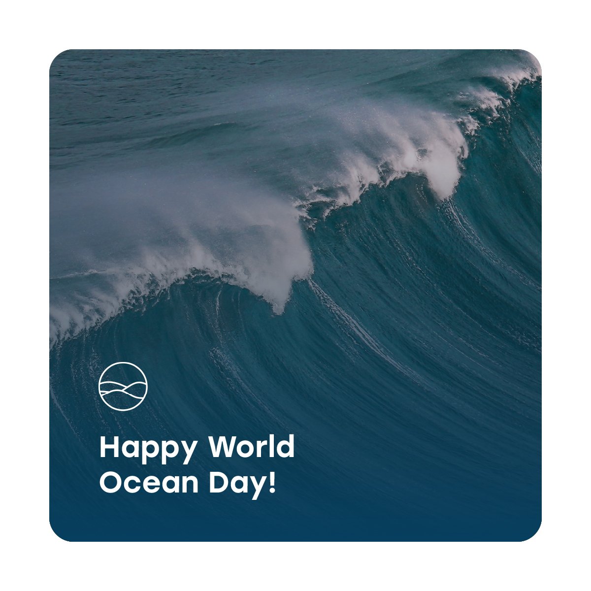 Happy #WorldOceanDay! 2022 has been the year of commitment. IMPAC5, COP15 and COP27 laid the foundations for what we should aim at and expect in conservation. 2023 must be the year of action.
