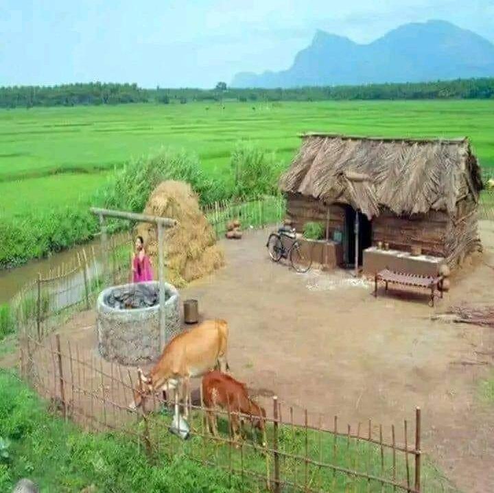 AgriconserveSua's tweet photo. Kuweka malisho safi na salama kwa wanyama wako ni muhimu kwa afya yao na kudumisha udongo.

Tumia njia za uendelezaji wa malisho ya asili na utunzaji wa ardhi

#SDG #ClimateAction #KilimoTips https://t.co/sgumuVoPIl
