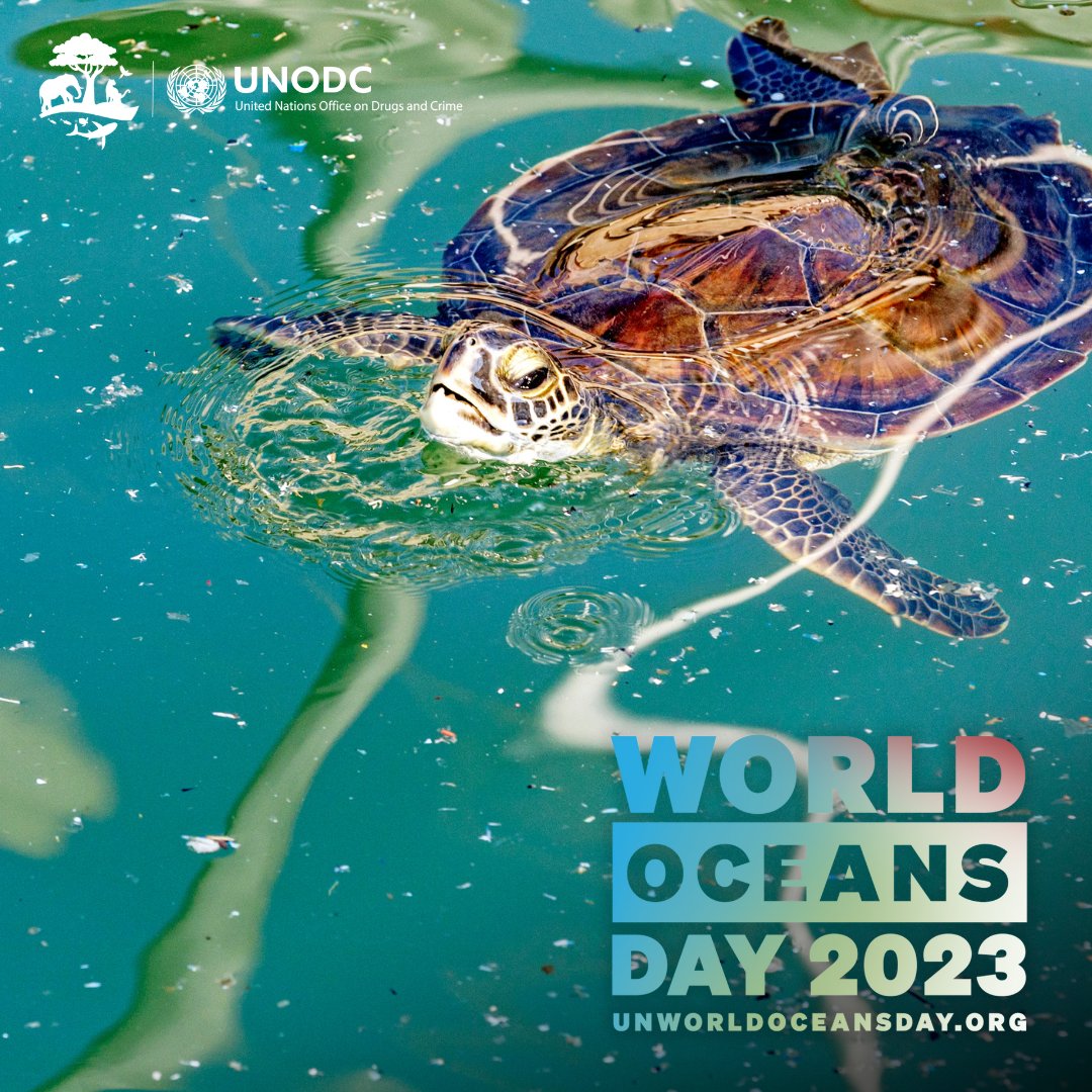 Happy #UNWorldOceansDay.

It is time to put the #OceanFirst by stopping organized crime from exploiting and threatening our shared blue planet by
- marine pollution
- Illegal, Unreported &amp; Unregulated fishing
- #crimesinfisheries
- corruption