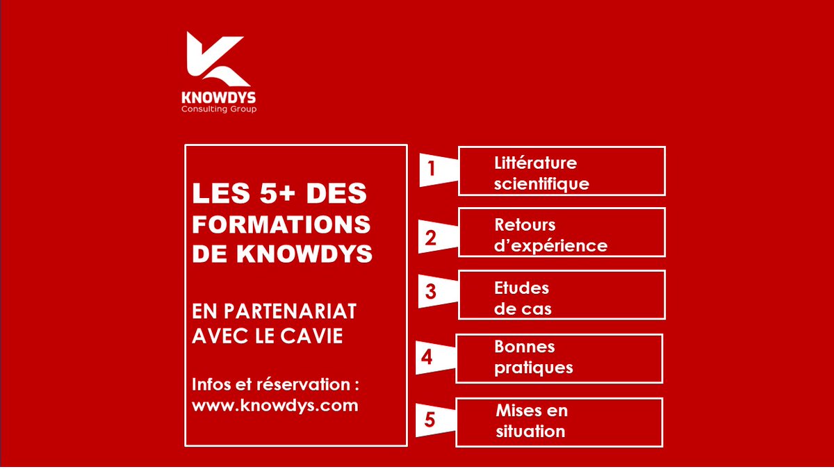 LES 5+ DES FORMATIONS DE KNOWDYS 

#Knowdys #EconomicIntelligence #marketstudy #AfricanMarkets #businessintelligence