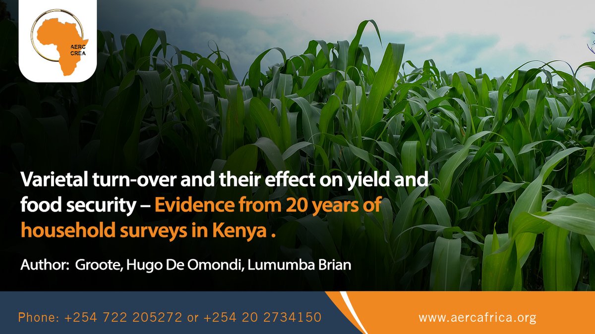 Food security in SSA depends on agricultural technology, but new maize varieties can't replace tried-and-true kinds. This study shows that younger maize varieties had a demonstrable, though limited, effect on yield. Read more: bit.ly/45M6M2z

#WeareAERC #AERCImpact