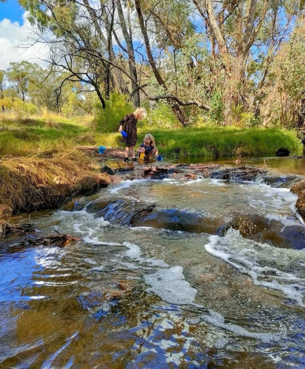 Perth_Hills's tweet photo. π³π€ΈββοΈπΏ The #PerthHills are the BEST nature playground!
Pull on the gumboots, pack a picnic & head to Noble Falls on the fringes of Gidgegannup. The cascades are perfect for a bushwalk, BBQ and play. Plus it's dog friendly πΎ
πΈ exploringwiththepotiphartribe
#Perth #perthkids https://t.co/voel7qhyaF