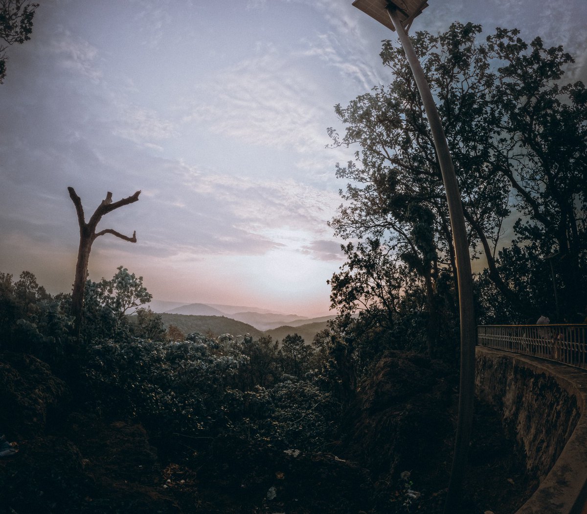 Deasprado's tweet photo. Jharkhand 🍃
#gopro #goprotravel #gopro11 #travelphotography #travel #jharkhand #jharkhandphotography #nightphotography #nature_captures #naturephotography #nature_perfection #outfitoftheday #outdoors #outdoorphotography #earthcapture #photographyforbeginners https://t.co/JQVacgrVAK